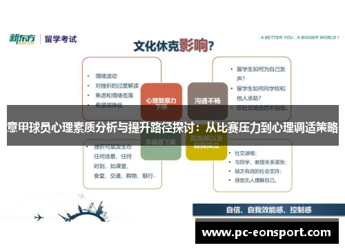 意甲球员心理素质分析与提升路径探讨：从比赛压力到心理调适策略