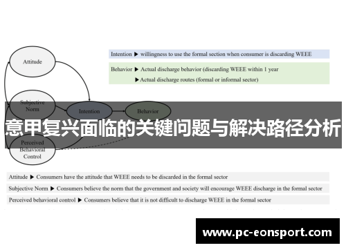 意甲复兴面临的关键问题与解决路径分析