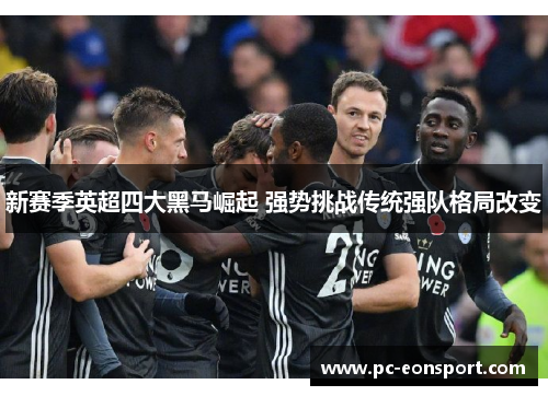 新赛季英超四大黑马崛起 强势挑战传统强队格局改变