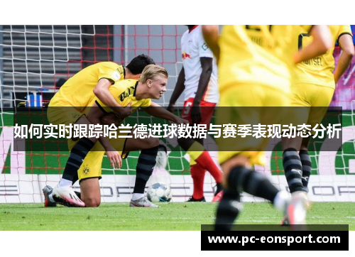 如何实时跟踪哈兰德进球数据与赛季表现动态分析