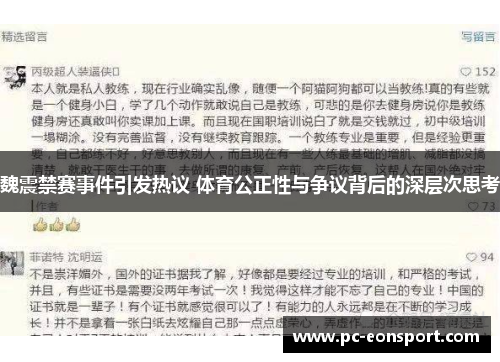 魏震禁赛事件引发热议 体育公正性与争议背后的深层次思考