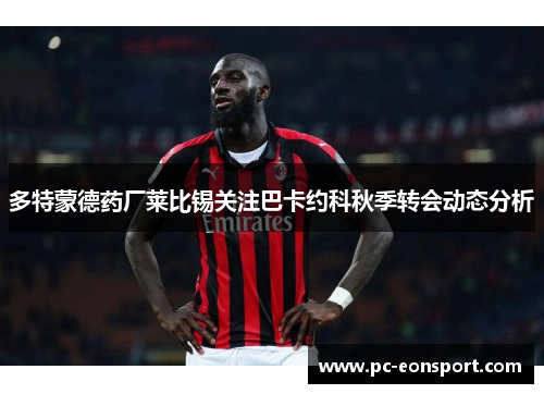 多特蒙德药厂莱比锡关注巴卡约科秋季转会动态分析
