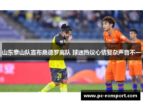 山东泰山队宣布桑德罗离队 球迷热议心情复杂声音不一