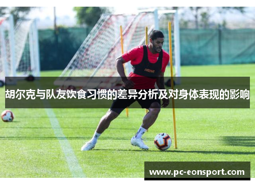 胡尔克与队友饮食习惯的差异分析及对身体表现的影响