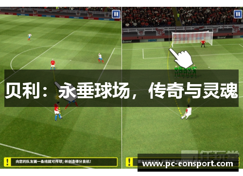贝利：永垂球场，传奇与灵魂